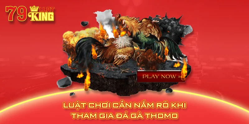 Luật chơi cần nắm rõ khi tham gia đá gà Thomo