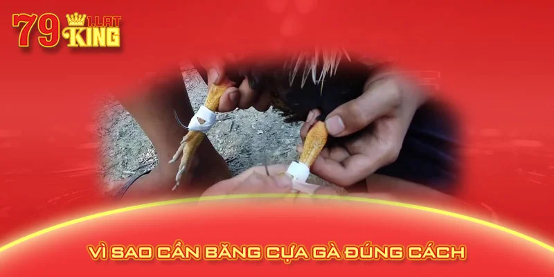 Vì sao cần băng cựa gà đúng cách