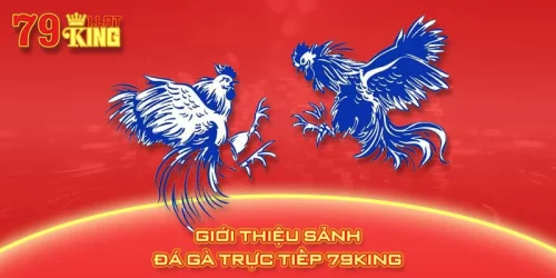 Giới thiệu Sảnh đá gà trực tiếp 79KING